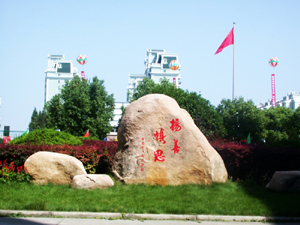 上海市楊思高級中學