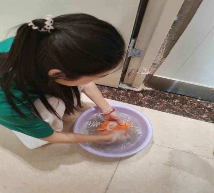 青春獻(xiàn)活力，清禾暖夕陽