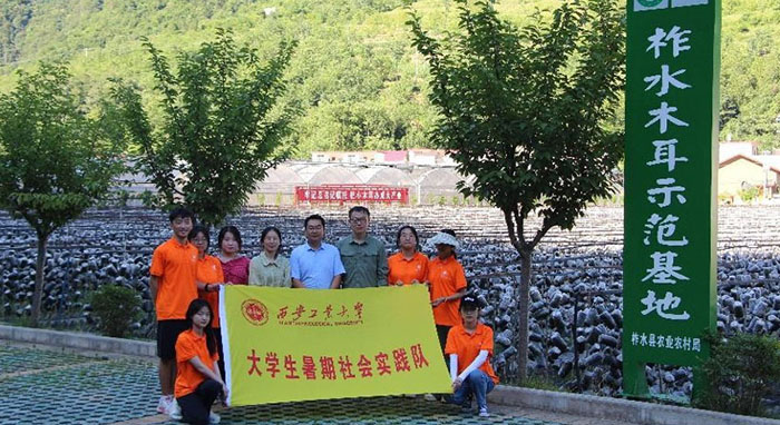 “厚植創(chuàng)新沃土，滋養(yǎng)科技之花” ——西安工業(yè)大學(xué)學(xué)生赴陜西省商洛市柞水縣金米村暑期社會(huì)實(shí)踐