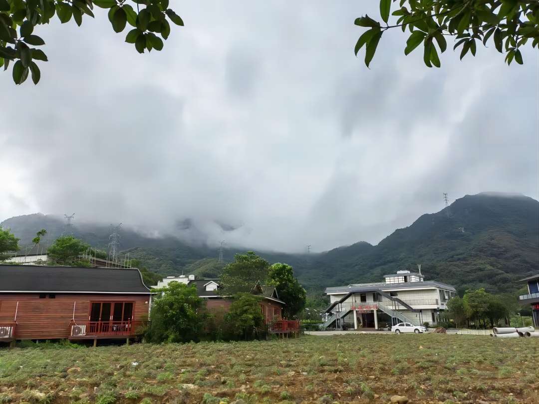 廣東建院三下鄉(xiāng)繪夢實(shí)踐隊(duì)——茶園勞動(dòng)增體驗(yàn) 采茶制茶學(xué)真知