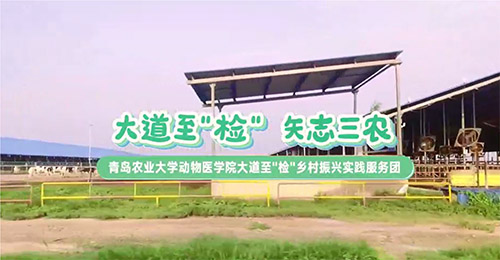 大道至簡，三農情牽：青島農業大學動物醫學院鄉村振興實踐服務團走訪養殖天地
