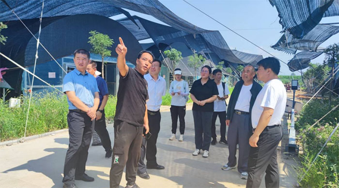 下鄉實踐遇到科研幫扶，高校對接推動鄉村振興