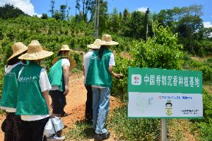 香韻傳承：產(chǎn)業(yè)探索與文化教育之旅