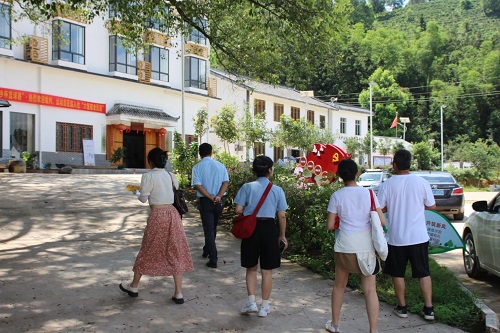 湘潭大學赴六堡茶鄉暑期調研團：探索茶文旅融合發展新模式