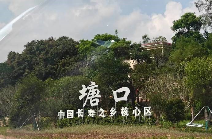 塘口鎮打造“富硒+共享農場”振興樣板 啟銘實踐隊解碼四方聯動新模式