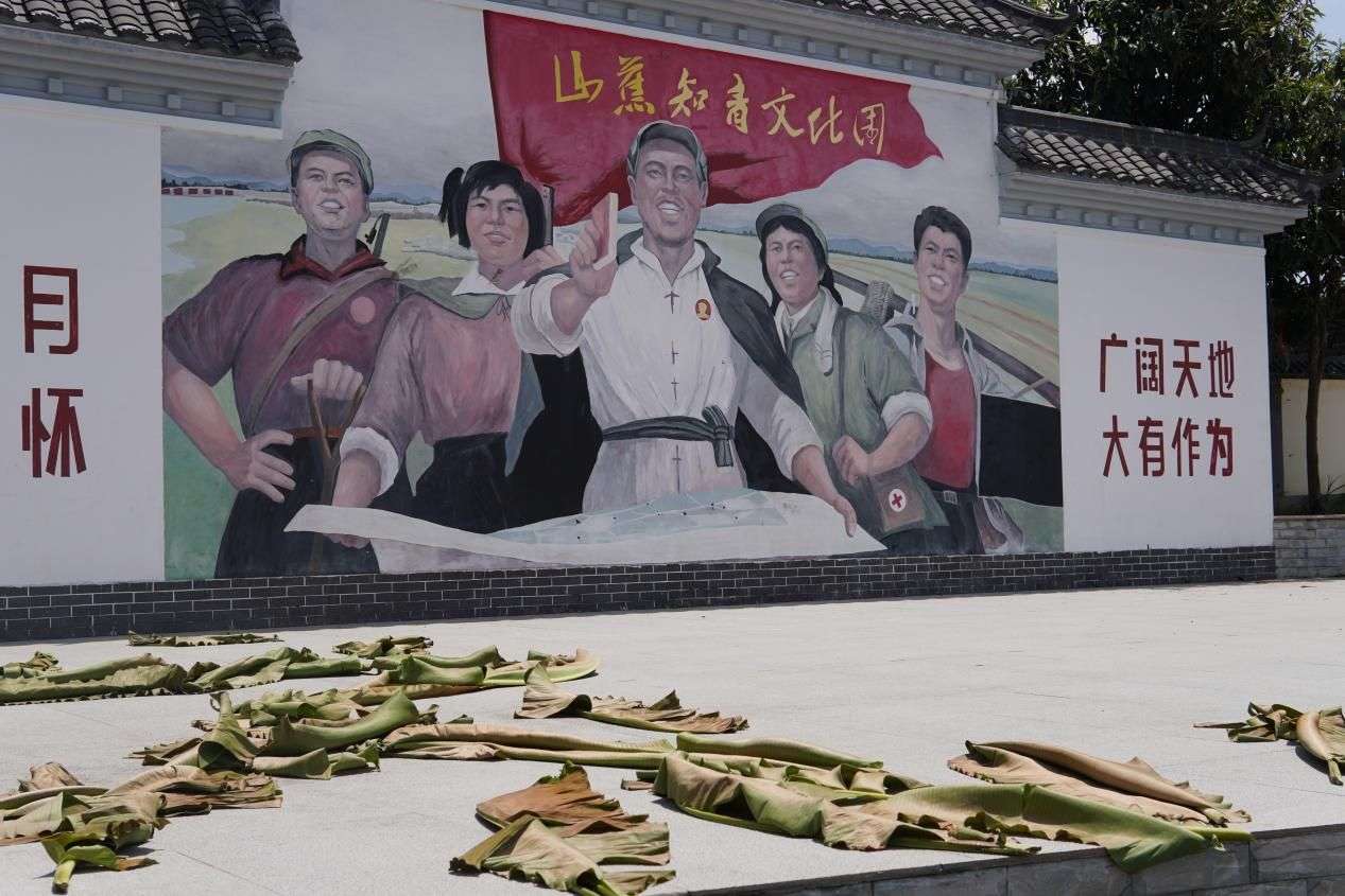 【百千萬工程 助力鄉春】承載歷史 展望未來 繪夢山蕉知青