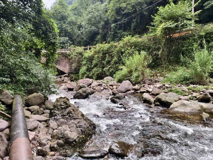 成都理工大學自然之聲實踐團峨眉山行——于山水間探尋資源保護與生態(tài)守護