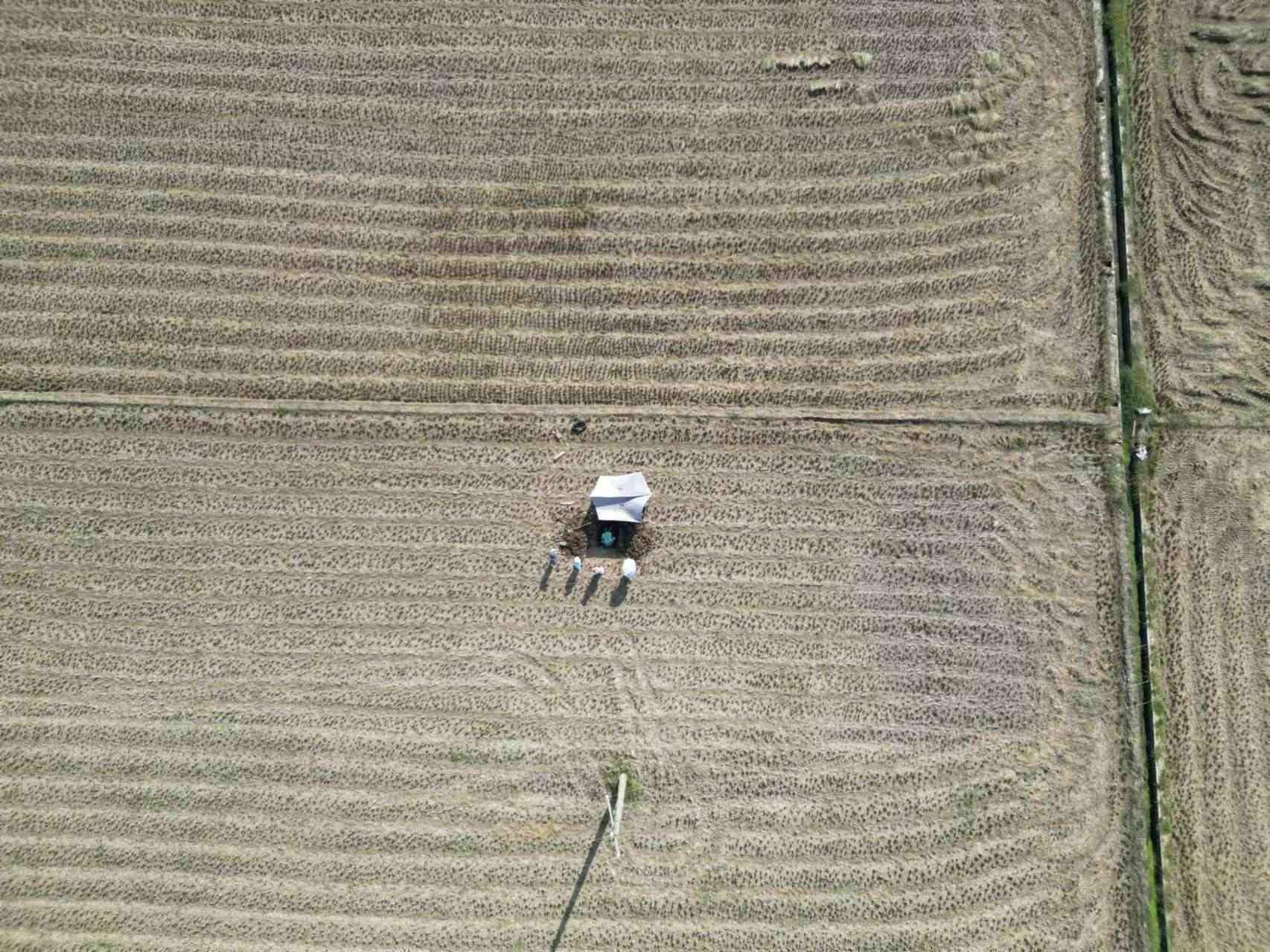 實(shí)地調(diào)研助力土壤質(zhì)量評(píng)估—華農(nóng)學(xué)子助力土壤三普