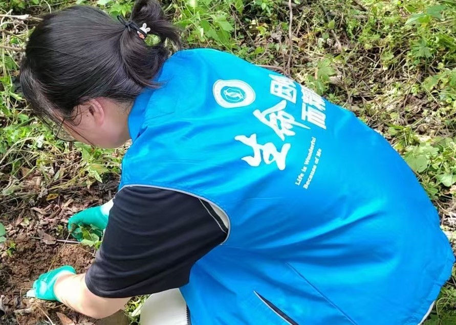 河南師范大學生命科學學院“青入田間”野生山藥種質資源調研團隊赴多地開展采集實踐活動