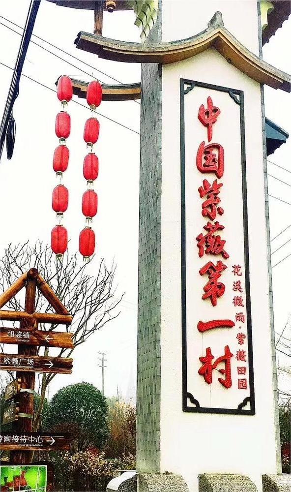 “新路”、“興路”、“心路”——以陳家渡村為例探討產(chǎn)業(yè)轉(zhuǎn)型推動(dòng)鄉(xiāng)村振興