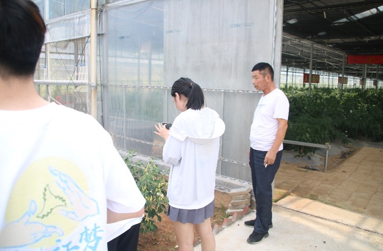 智慧農業(yè)設施助力伍市鎮(zhèn)農業(yè)發(fā)展
