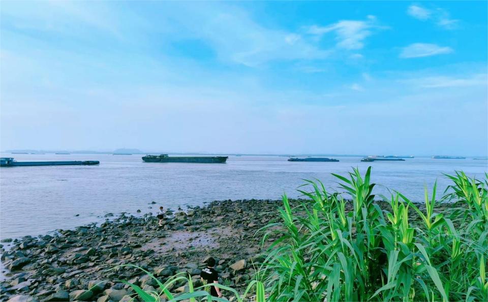 探廣陵運(yùn)河， 護(hù)綠水之美