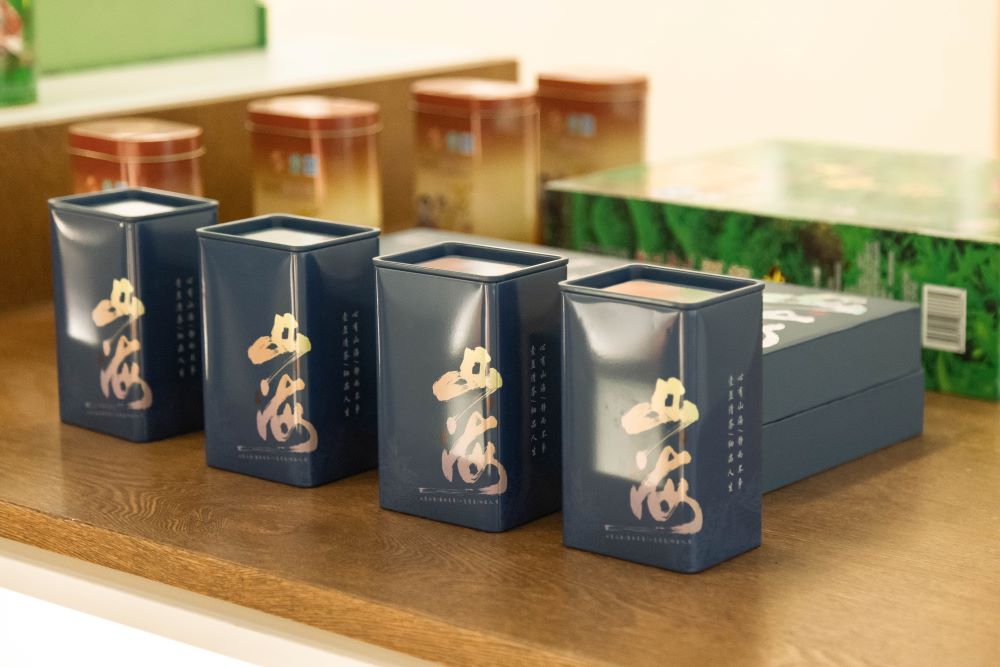 調研津口茶廠，企業創新助力鄉村振興