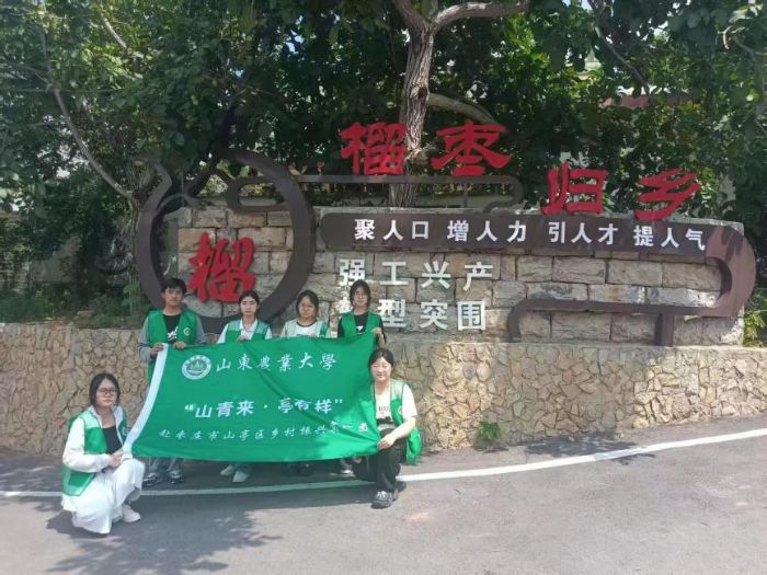 山東農(nóng)業(yè)大學(xué)：電商賦能，藤花煥彩