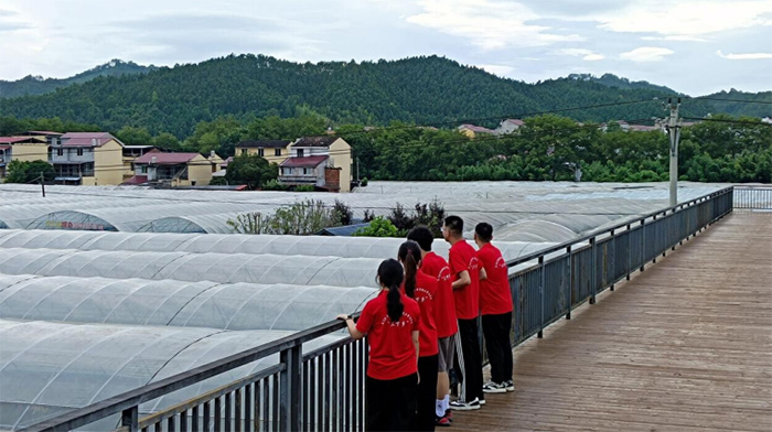 “葡”寫鄉村振興曲，廈門醫學院實踐團探訪考亭村甜蜜產業