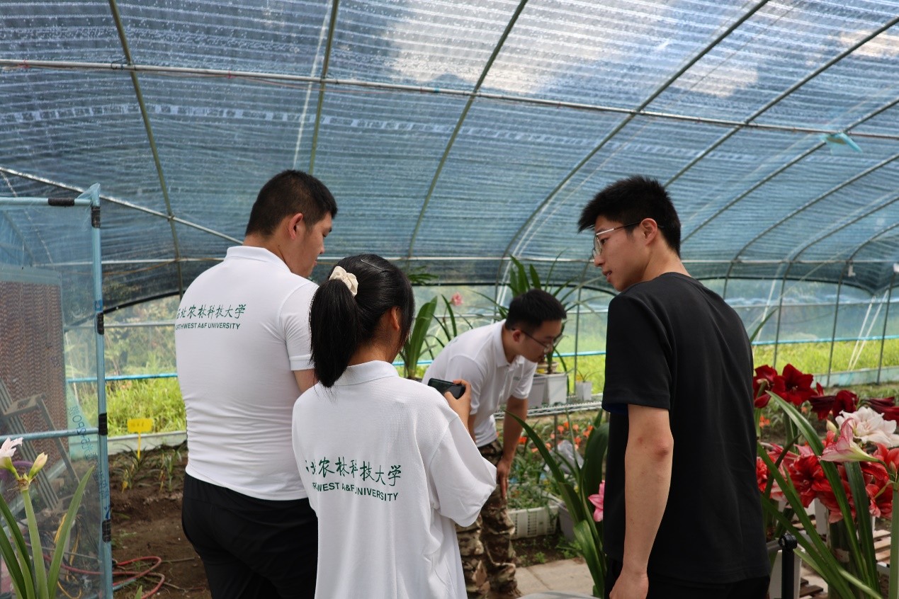 黨建引領下的鄉村振興新實踐——西北農林科技大學資源環境學院赴福建壽寧調研“新農人回村工程”