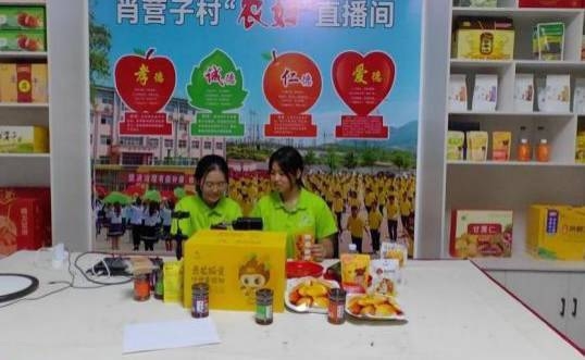 發揮專業特長，助力鄉村振興            ——園藝科技學
