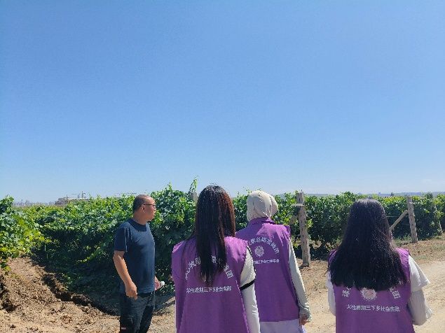 青春助農正當時：譯心牧歌絲路實踐團走進五一農場開展"三下鄉"活動