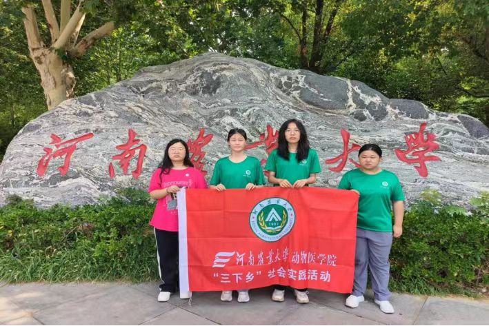魚(yú)燈璀璨映古今，商丘非遺傳千秋