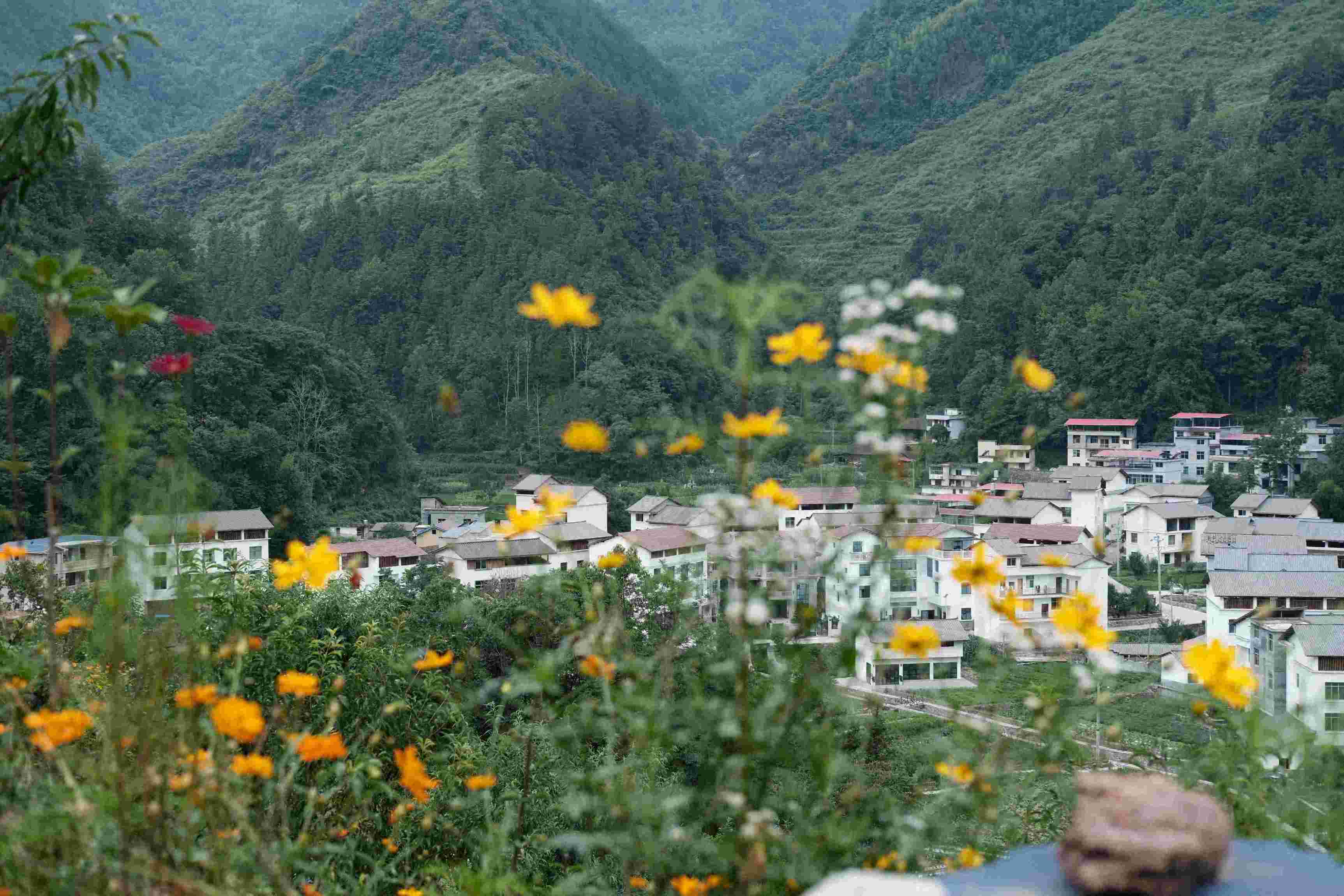探索生物多樣性新路徑，共繪鄉(xiāng)村振興與可持續(xù)發(fā)展新畫卷  ——記重慶師范大學(xué)生命科學(xué)學(xué)院“耕培啟潤”團隊酉陽之旅