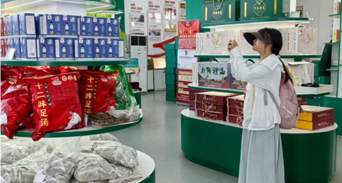 青衿探艾尋真意，古草凝香續(xù)新篇