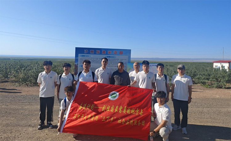 沙棘林海里的青春答卷：石大學(xué)子破解戈壁采收難題