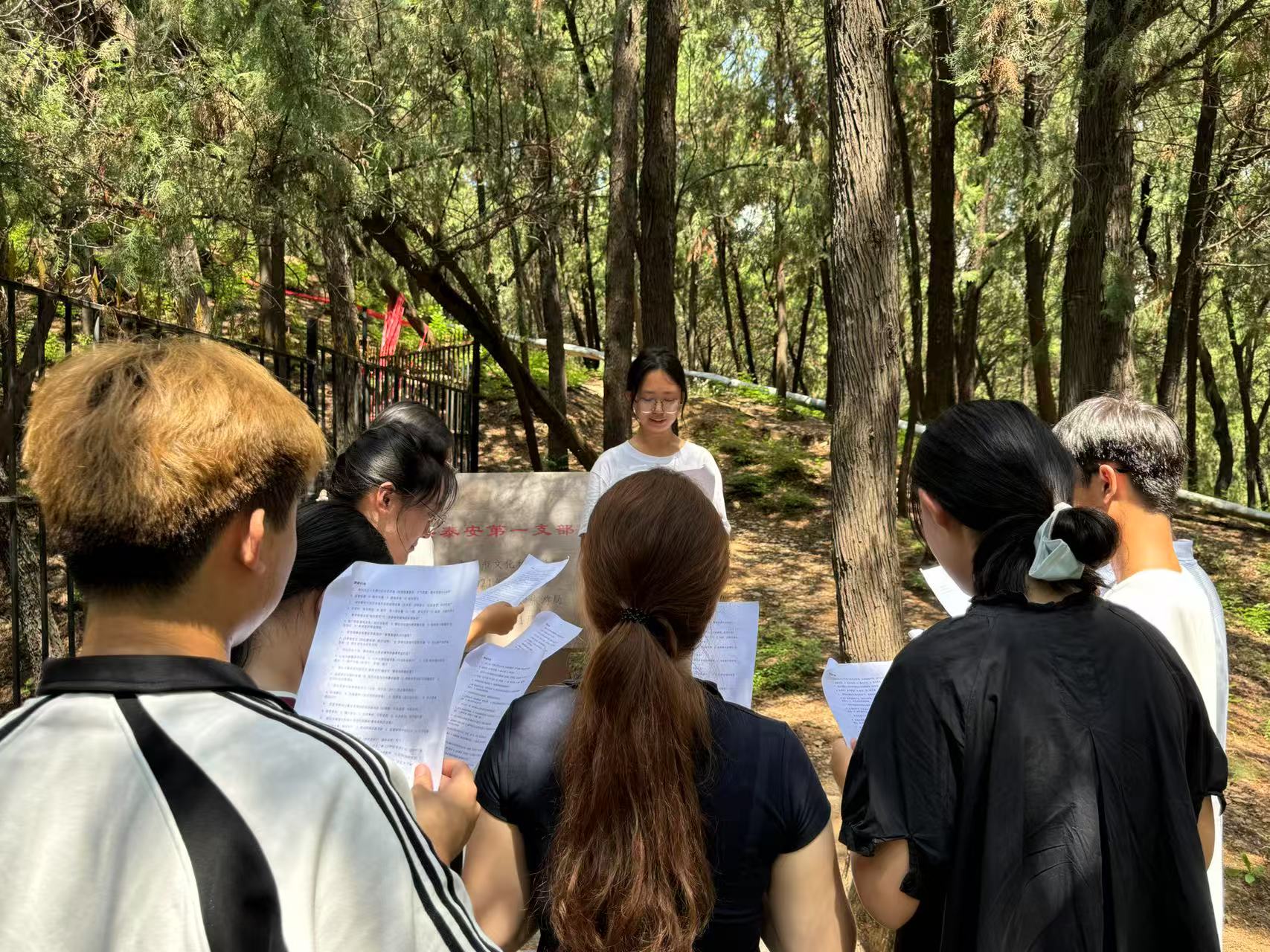 青島農(nóng)業(yè)大學“泰山青韻”實踐團泰安行：傳紅色基因，繪美麗中國
