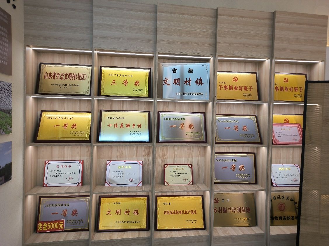 聚焦特色產業，黨建引領發展：魯東大學學子走進棗莊市薛城區常莊街道“山里紅”特色種植園