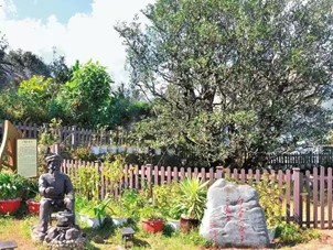 茶脈傳承·文化兩創｜哲社學院“星火”黨員先鋒隊赴云南省臨滄市開展暑期專項實踐