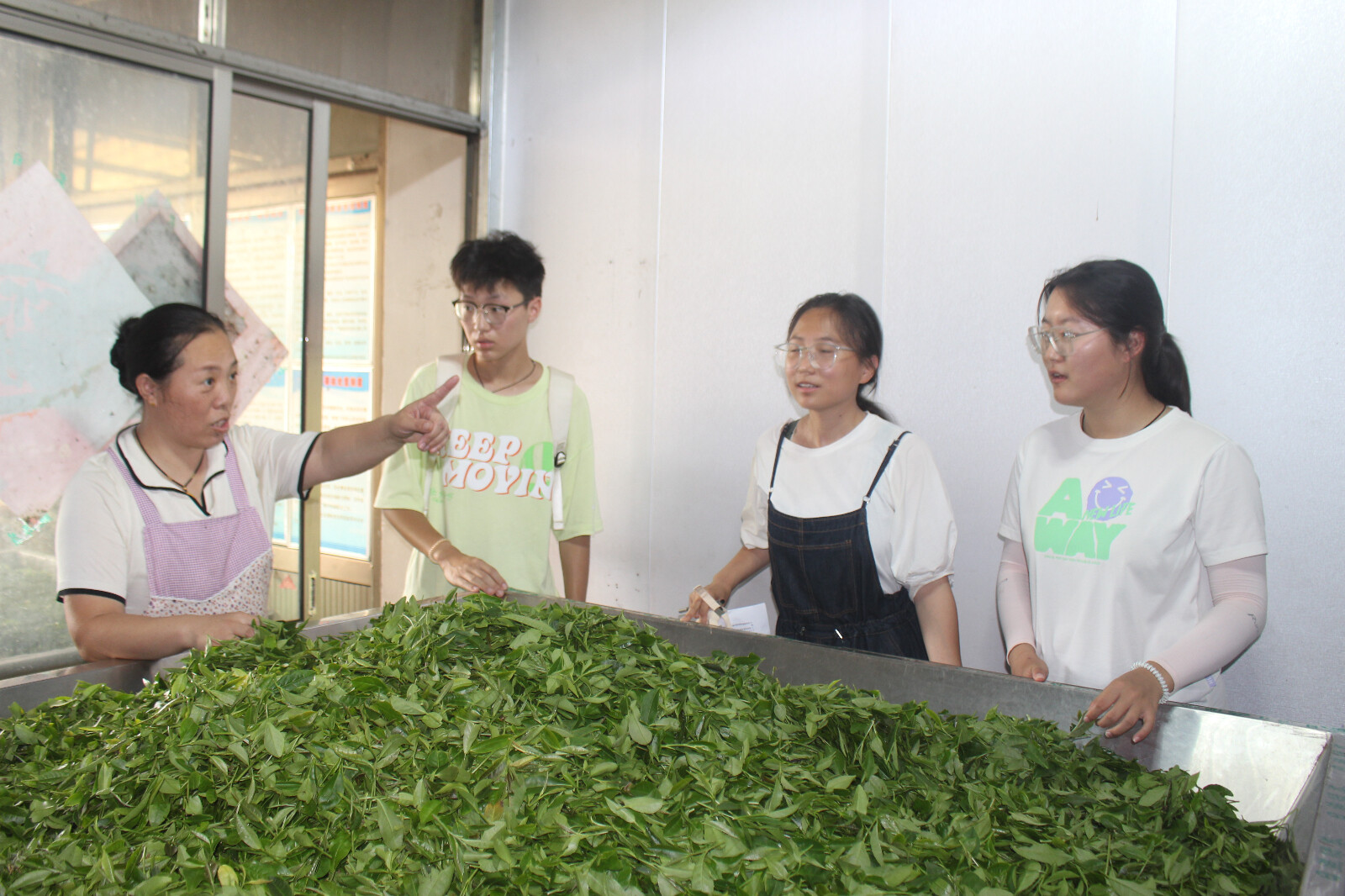 嵐山四村訪茶記，產業振興綻新顏