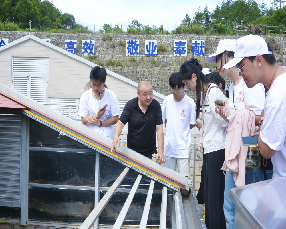 供水調研促發展，民生保障惠萬家—合肥大學“岳”動青春，遇“踐”盛夏實踐