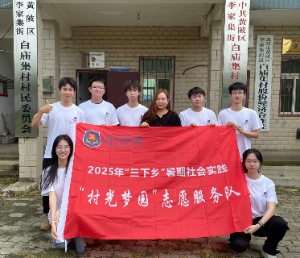 青春筑夢興白廟 藝興賦能暖鄉村——武漢學院“村光夢園”三下鄉團隊赴黃陂區白廟村助力鄉村振興
