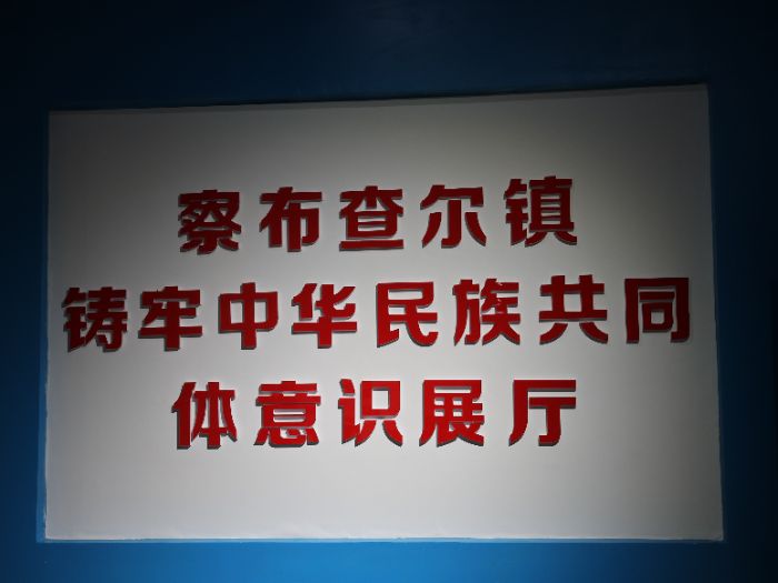 青春步履丈量伊犁 共筑民族團(tuán)結(jié)心聲——觀展識(shí)同心·訪賢承深情
