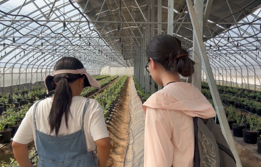 金伯利農(nóng)場探秘，現(xiàn)代農(nóng)業(yè)重塑南泥灣基因