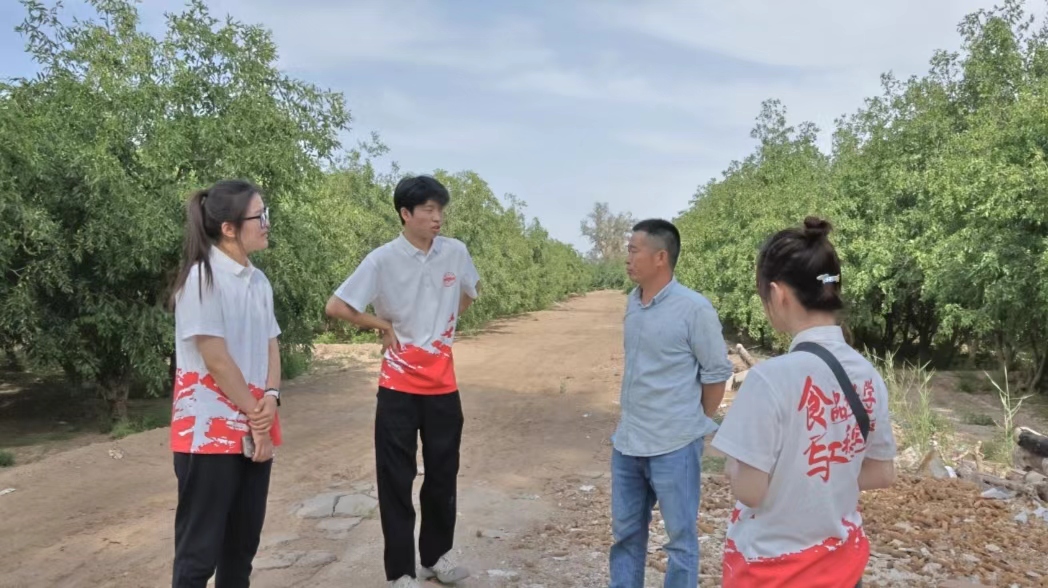 塔大學(xué)子三下鄉(xiāng)|強(qiáng)國必先強(qiáng)農(nóng)，農(nóng)強(qiáng)方能國強(qiáng)