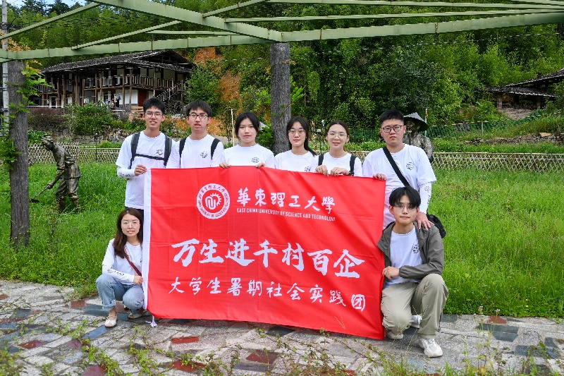 下村村里訪油茶：實踐團探尋鄉村振興路徑