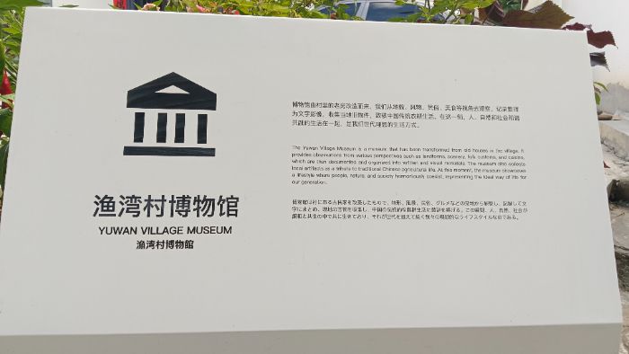 西北農(nóng)林科技大學(xué)學(xué)子探訪漁灣村博物館，解碼鄉(xiāng)村振興密碼