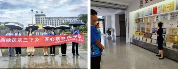 尋茯茶根脈，探振興新路：會計學院實踐團探尋國家級非遺茯茶之旅