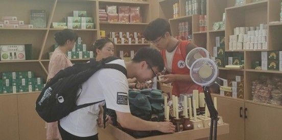 圣祠尋蹤承古脈，艾香攜韻拓新程