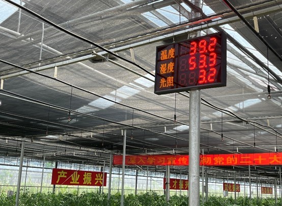 中量大“鋤江夢”小隊奮力推進(jìn)智慧農(nóng)業(yè)：探訪平江光伏大棚