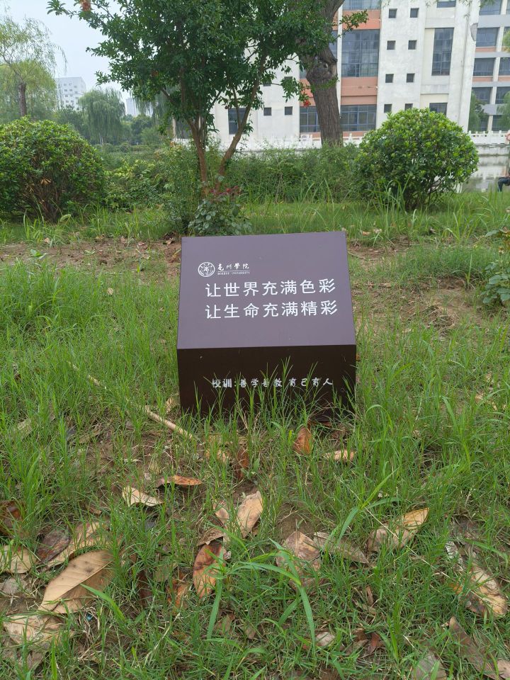 巢湖學(xué)院學(xué)子三下鄉(xiāng)實(shí)踐感悟：走不通的路，就用拳頭來(lái)打開(kāi)