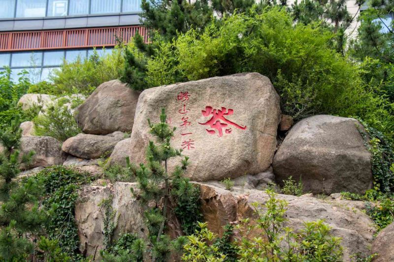 從低碳視角出發(fā)，探討鄉(xiāng)村綠色轉型之路-致遠實踐隊心得