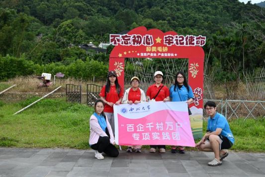 五指山茶香飄遠，多村寨以茶為媒，激活鄉村振興新動能